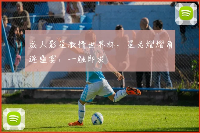 成人影星激情世界杯，星光熠熠角逐盛宴，一触即发
