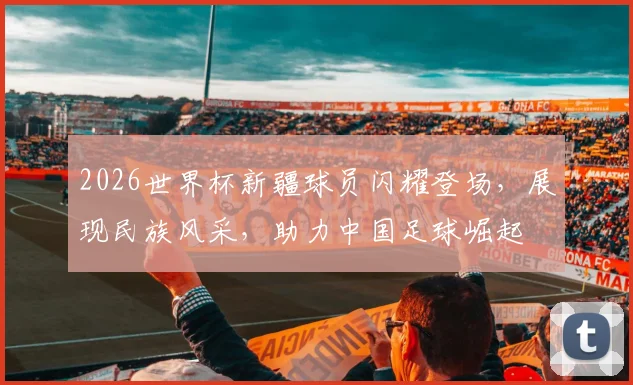 2026世界杯新疆球员闪耀登场，展现民族风采，助力中国足球崛起