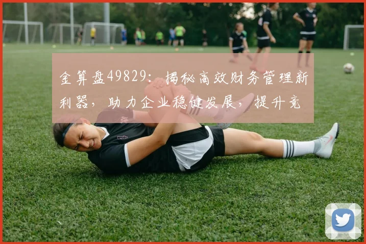 金算盘49829：揭秘高效财务管理新利器，助力企业稳健发展，提升竞争力