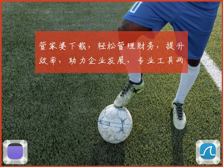 管家婆下载，轻松管理财务，提升效率，助力企业发展，专业工具两步安装成功，体验不凡