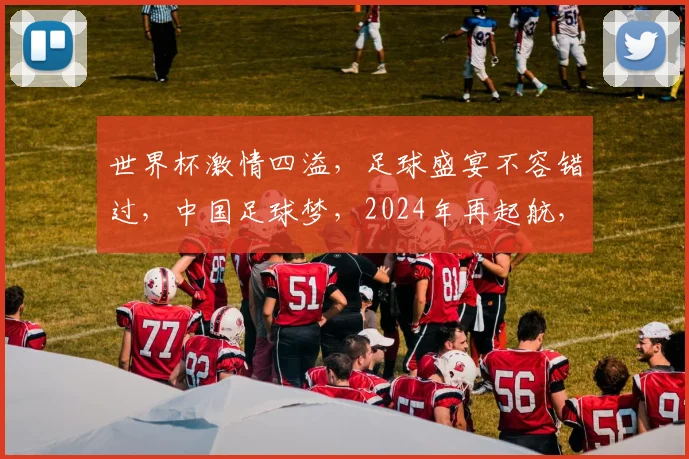 世界杯激情四溢，足球盛宴不容错过，中国足球梦，2024年再起航，激情燃